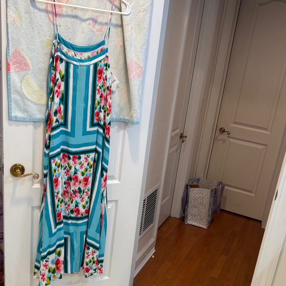 NWT Zara Floral Maxi Dress in Blue and Pink